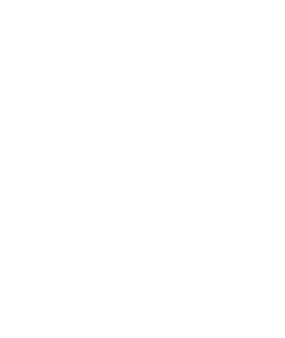 te_shopバナー.png